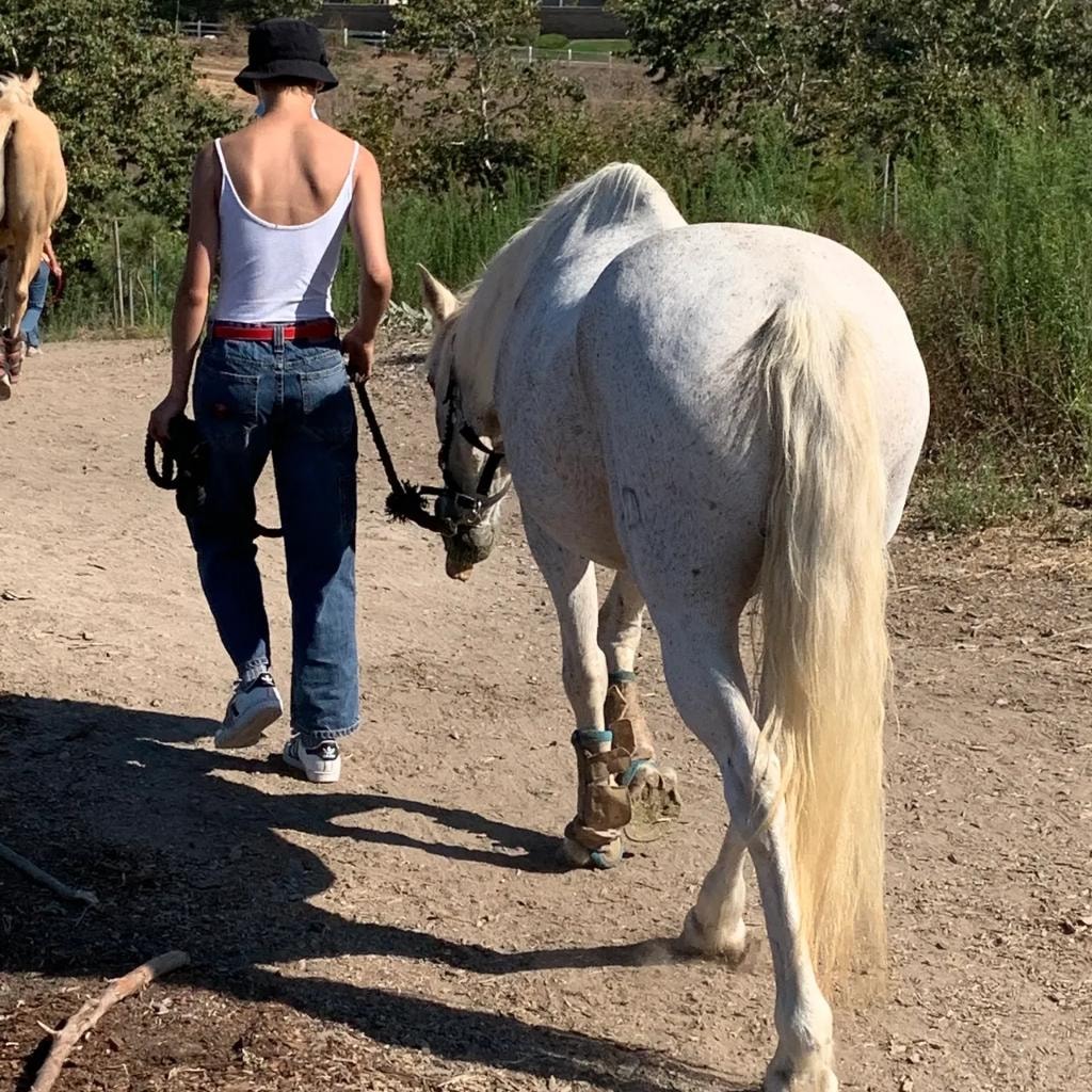 EQUUSWAY photo 3