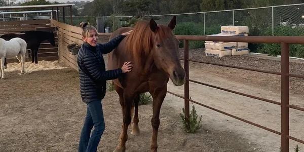 Person with horse at ranch facility